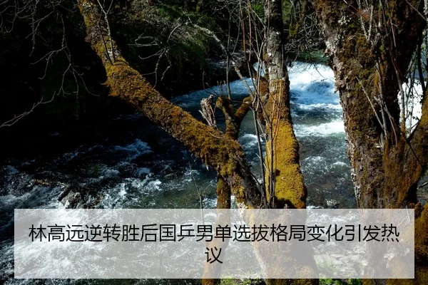 林高远逆转胜后国乒男单选拔格局变化引发热议